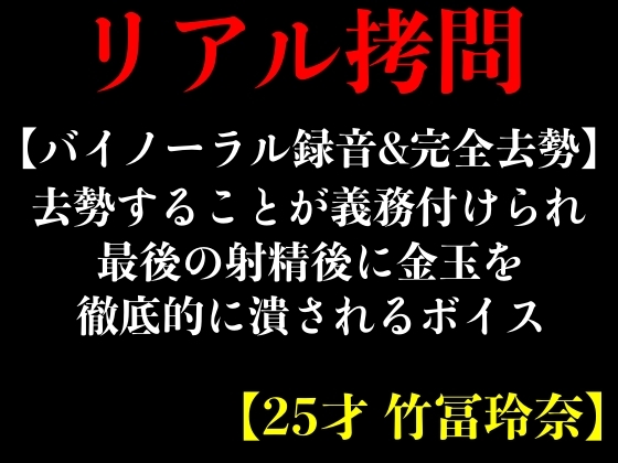 【바이노럴 녹음 【바이노럴 녹음