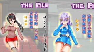 BattleHeroine The File V8 넘버 HT38・HT41・HT60