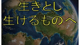 노래소재 2408A_살아서 살아가는 것에