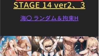 대머리 〇스! ! STAGE 14 ver2, 3 바다 0 랜덤 H & 구속 H