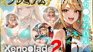 【Xeno〇lade2】히카〇의 사진집 프리미엄