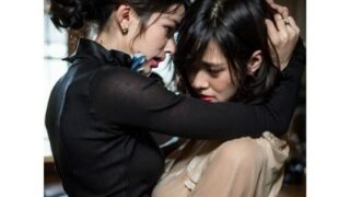 미녀 싸움 클럽 고양이 싸움 AI 동영상 Catfight1