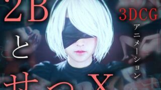 2B와 X-3DCG 애니메이션-