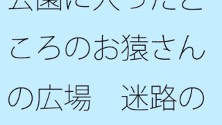 공원에 들어간 원숭이의 광장 미로 같은 동시 세계