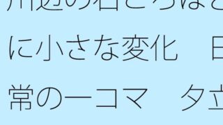 강변의 돌 무렵 정도로 작은 변화 일상의 한 컷