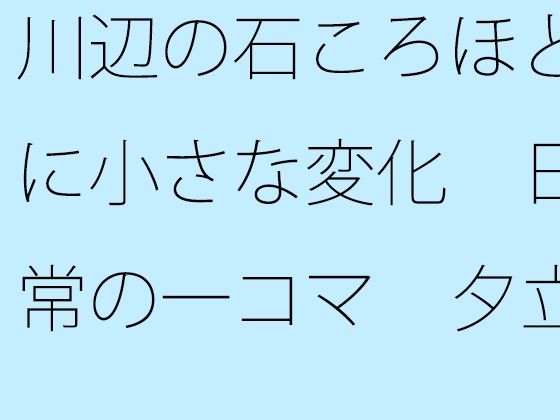 강변의 돌 무렵 정도로 작은 변화 일상의 한 컷