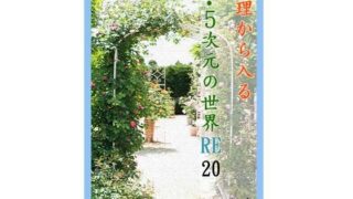 요리에서 들어오는 2.5 차원 세계 RE20