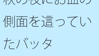 가을 밤에 접시의 측면을 기어 다니는 메뚜기