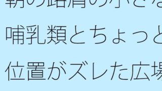 아침길 어깨의 작은 포유류와 조금 위치가 어긋난 광장의 벤치